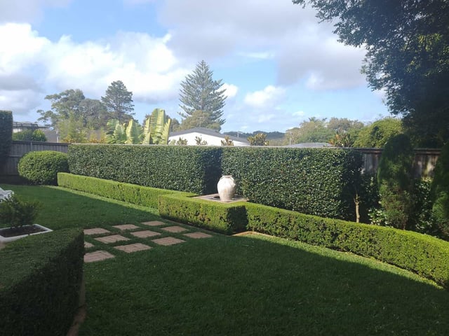 Vibrant Kikuyu lawn after a fresh mow