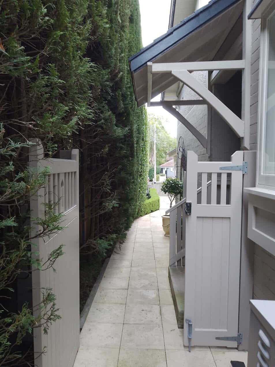 Tall clipped hedge alongside a paved path and white gate