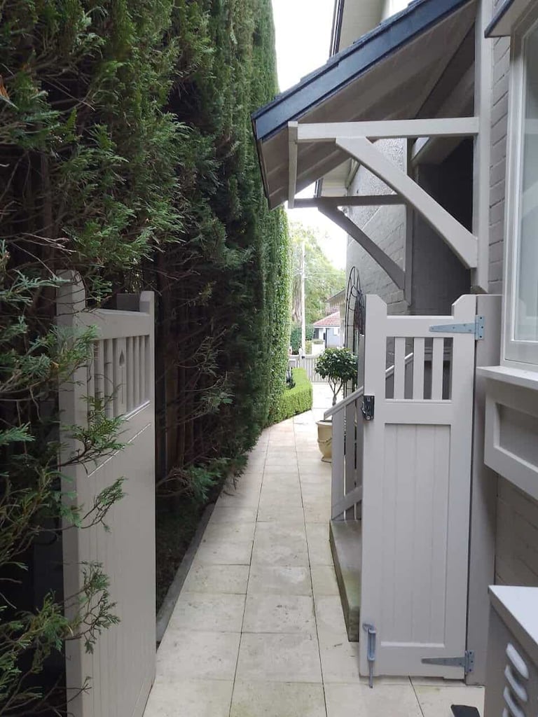 Tall clipped hedge alongside a paved path and white gate