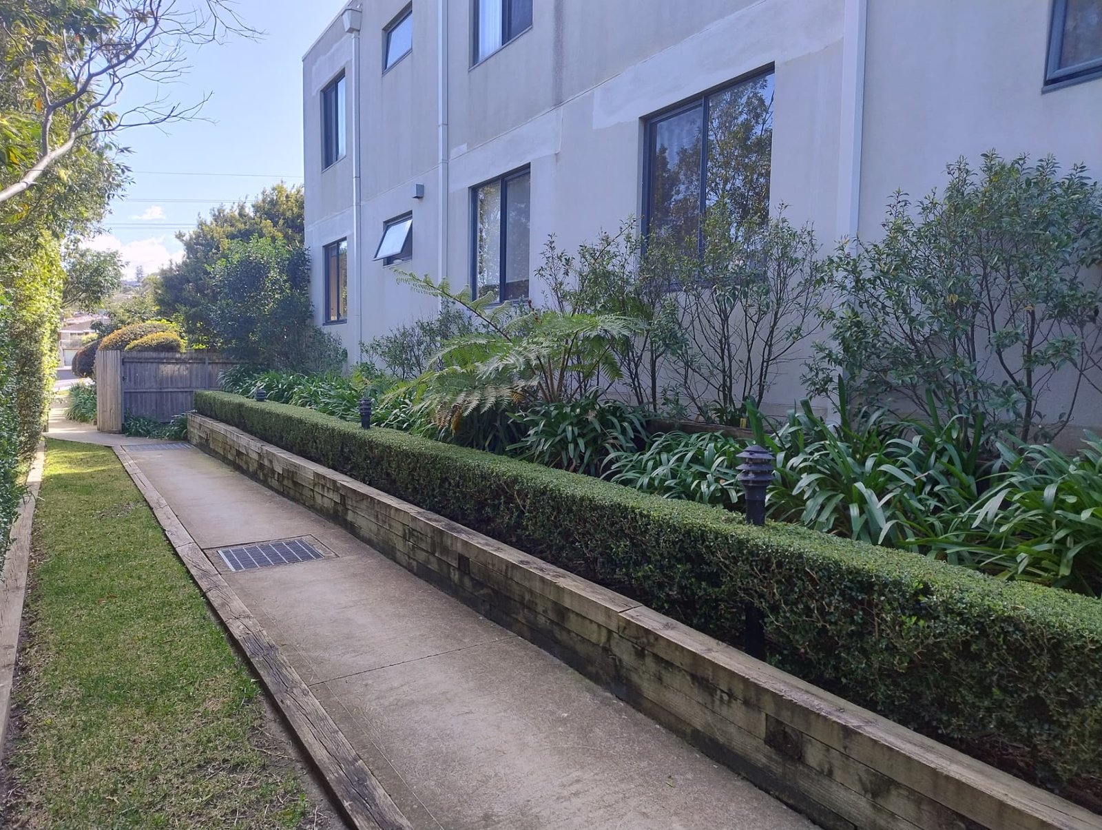 Well-maintained hedges and garden beds along a modern Sydney apartment building