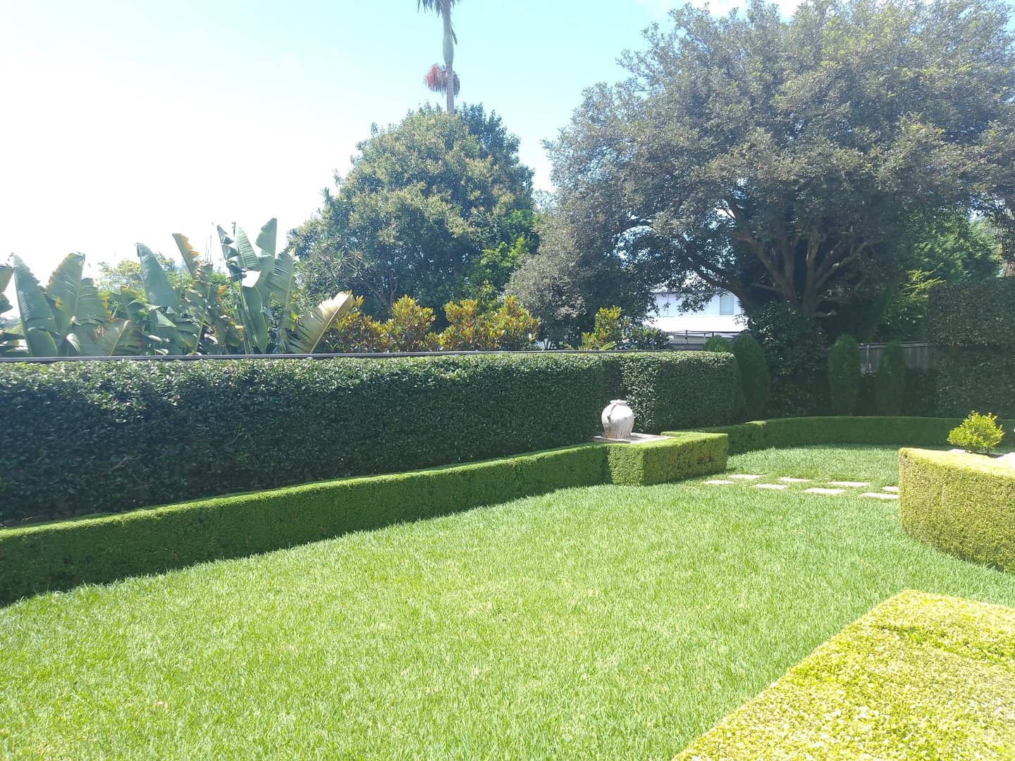 Hedge trimming and lawn care in Brookvale