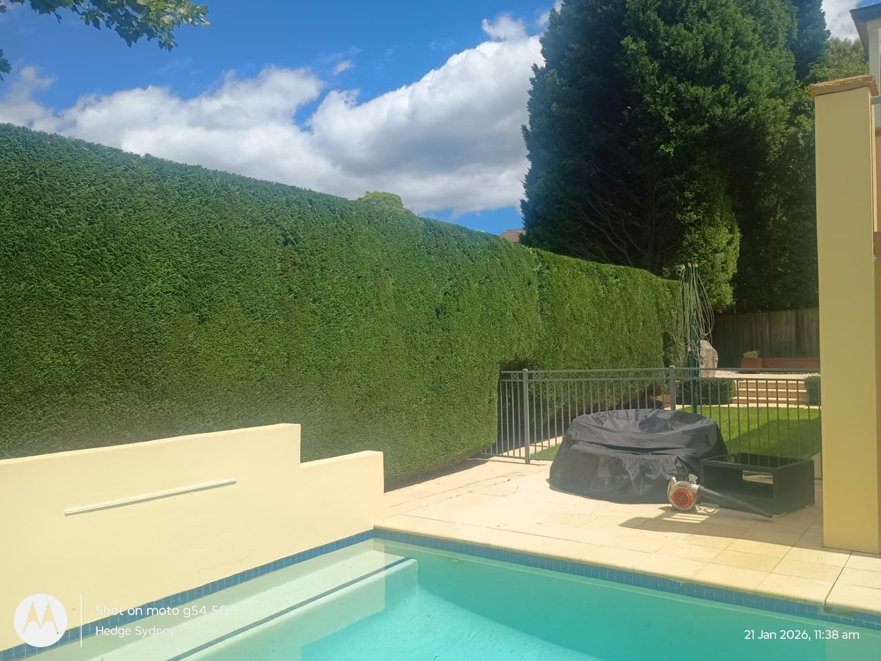 Hedge trimming