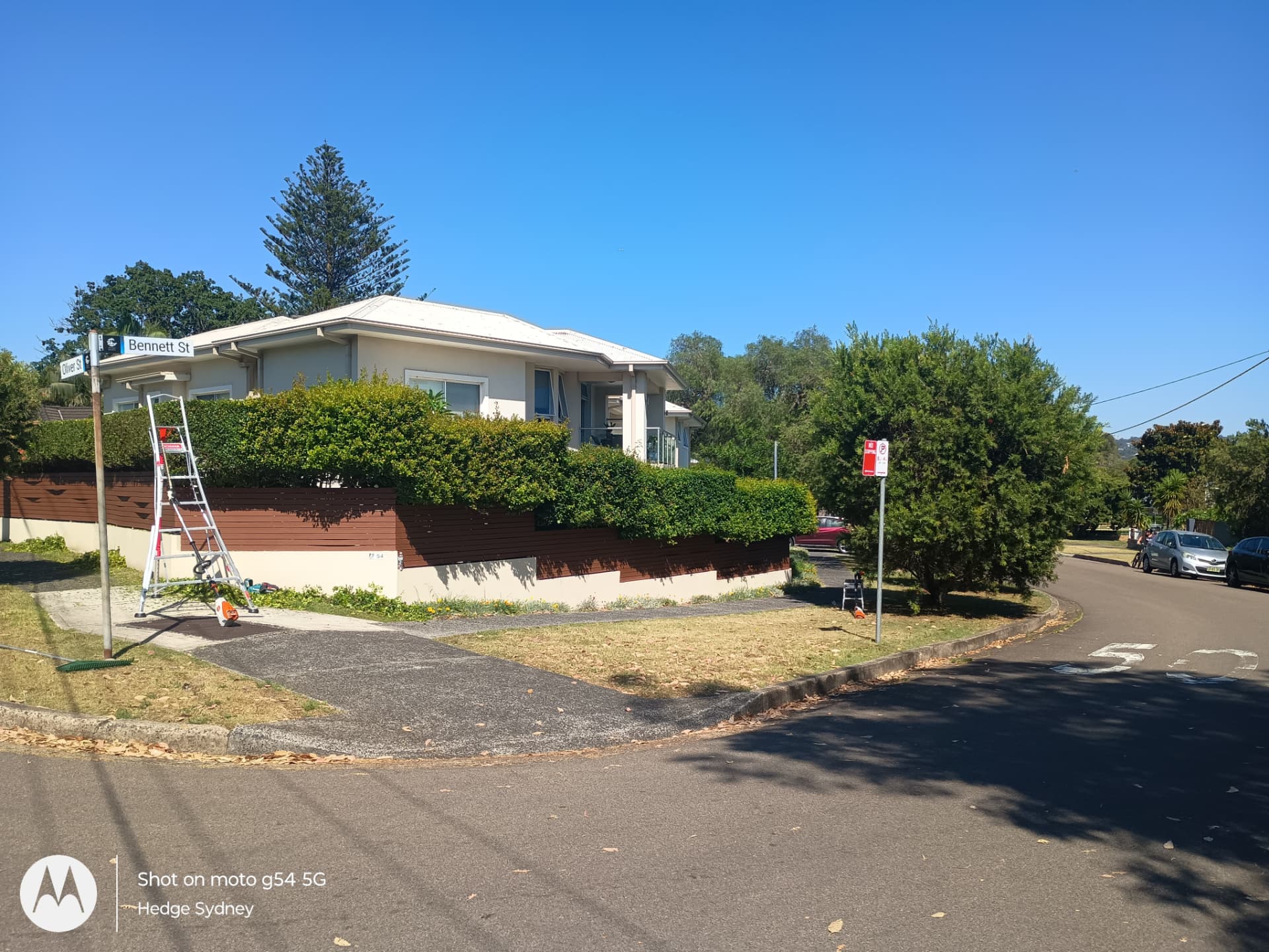 Well maintained commercial hedges at a Sydney strata property