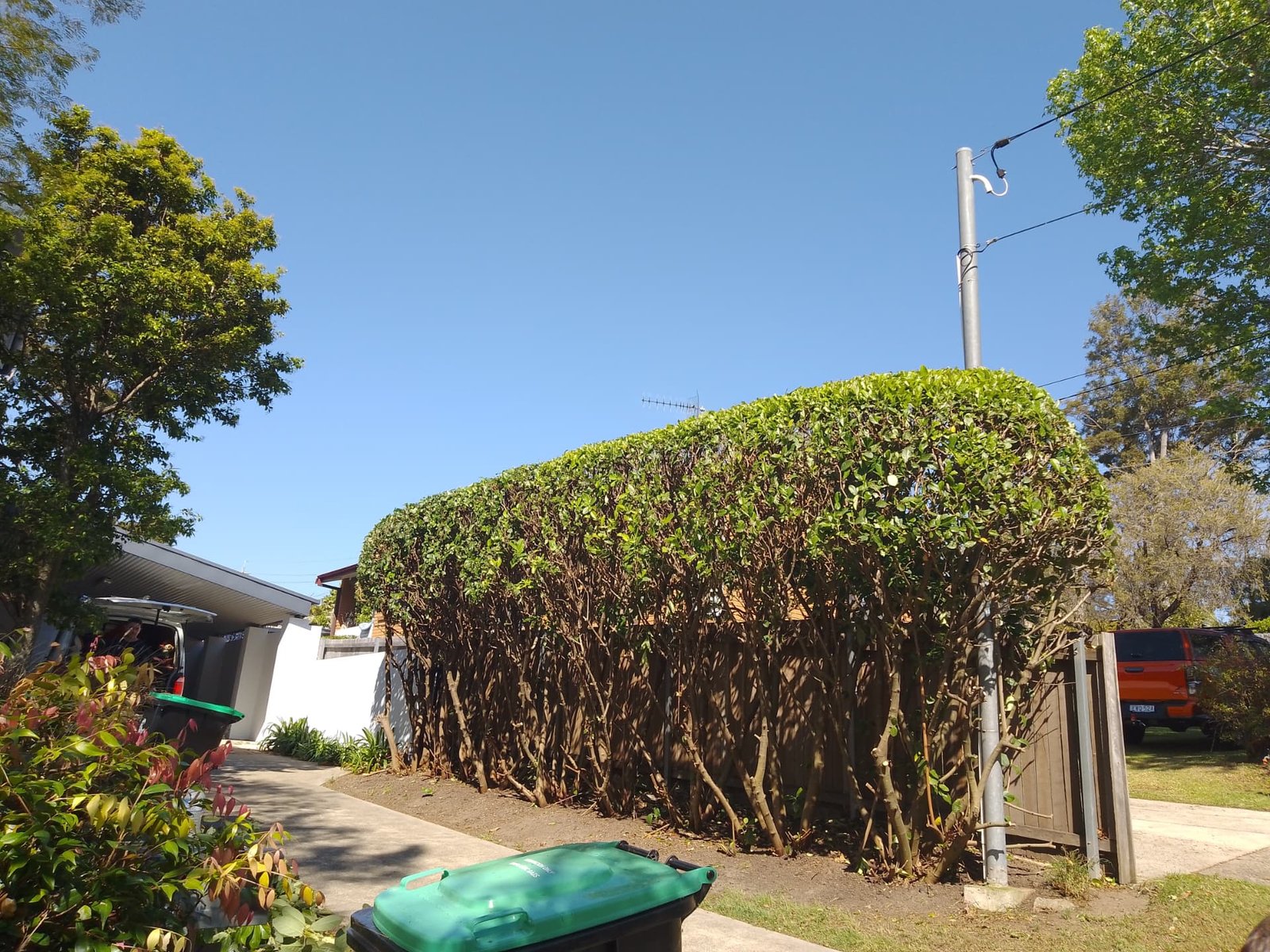 Driveway hedge reshape in Narraweena — hedge trimming and garden care by Hedge Sydney — professional hedge trimming and garden care by Hedge Sydney