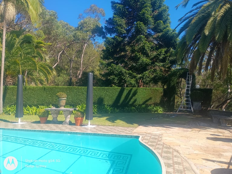 Poolside Formal Hedge in Killara, NSW