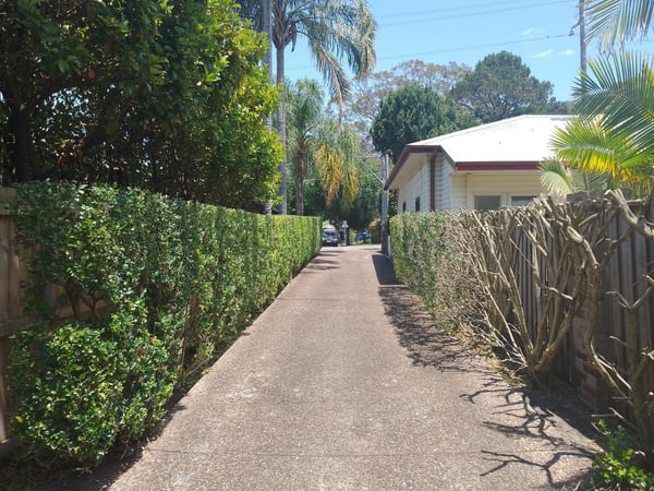 Driveway boundary hedge in North Narrabeen — hedge reduction and garden care by Hedge Sydney