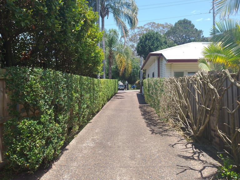 Driveway boundary hedge in North Narrabeen — hedge reduction and garden care by Hedge Sydney