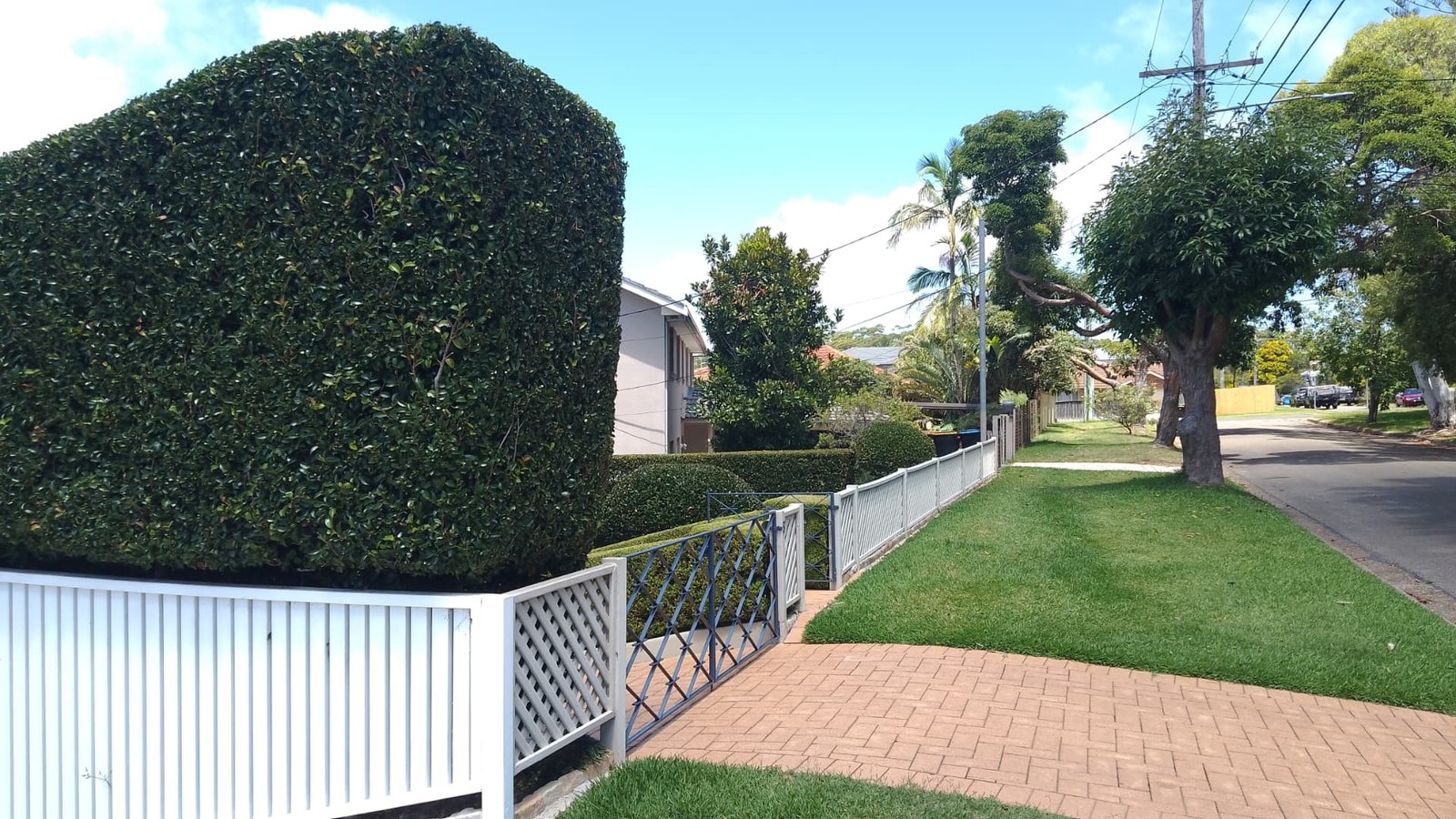 Front hedge & lawn care in Frenchs Forest — hedge trimming and garden care by Hedge Sydney — professional hedge trimming and garden care by Hedge Sydney