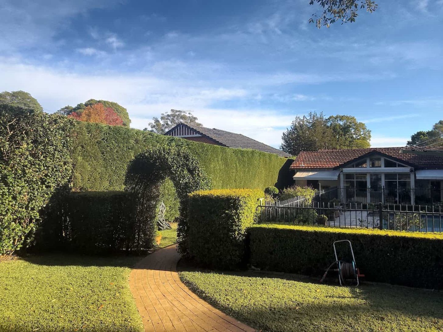 Hedge trimming and lawn care in Manly