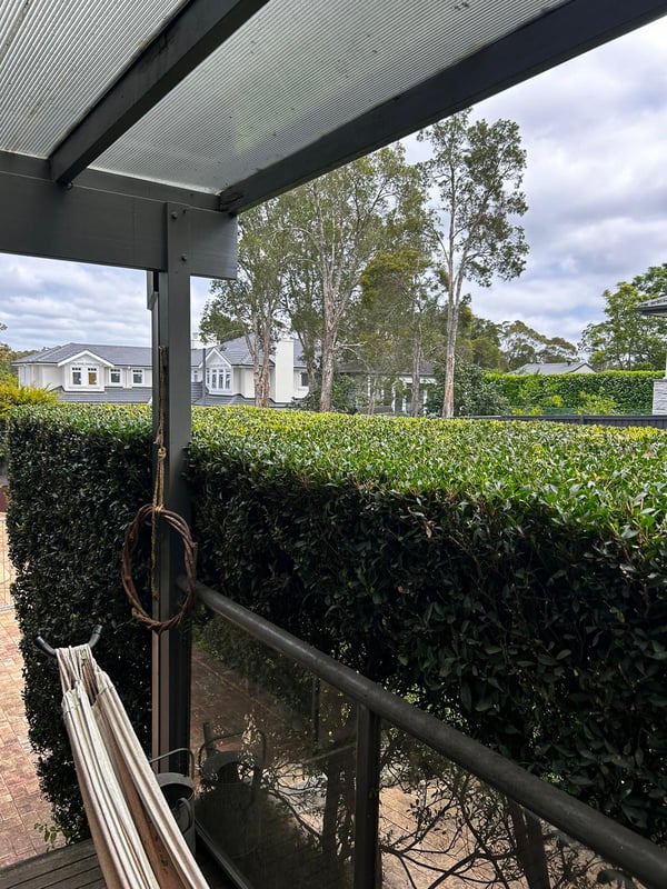 Lilly pilly balcony screen in Bobbin Head — hedge trimming and garden care by Hedge Sydney