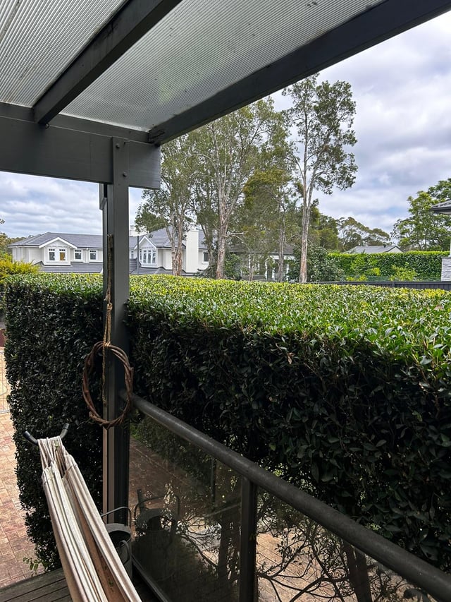 Lilly pilly balcony screen in Bobbin Head — hedge trimming and garden care by Hedge Sydney