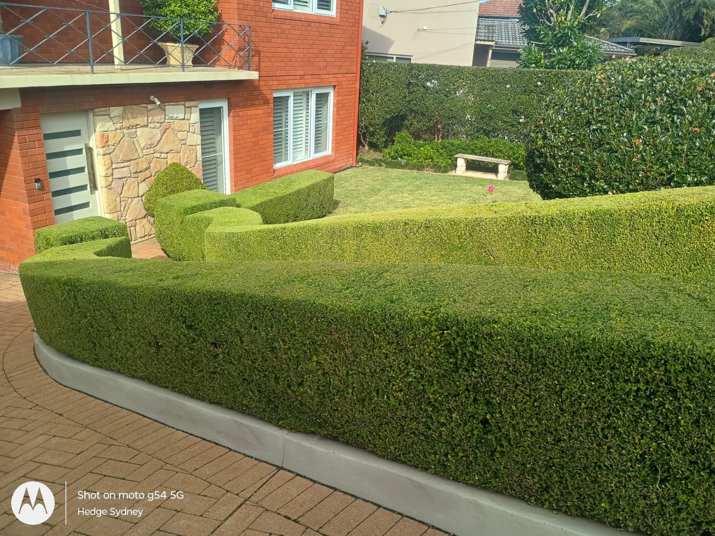 Hedge trimming and lawn care in Avalon Beach