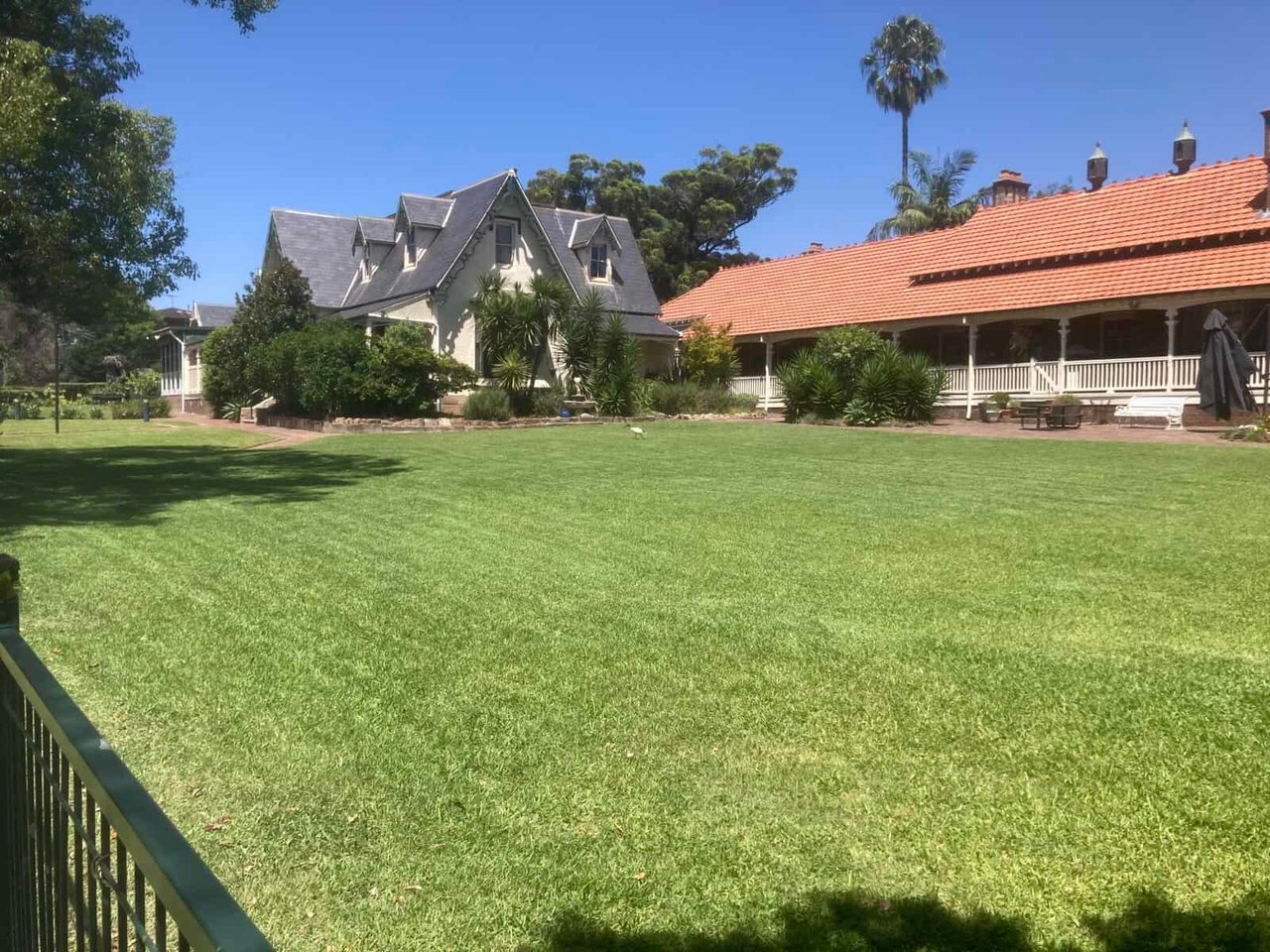 Lawn care