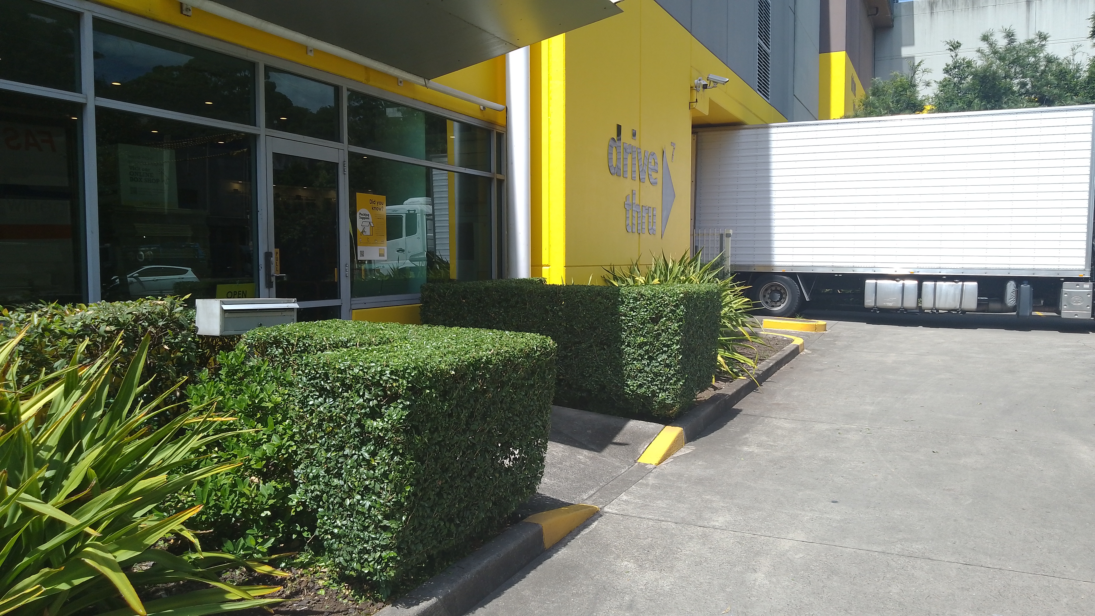 Dense green Murraya hedge being shaped in a Sydney garden