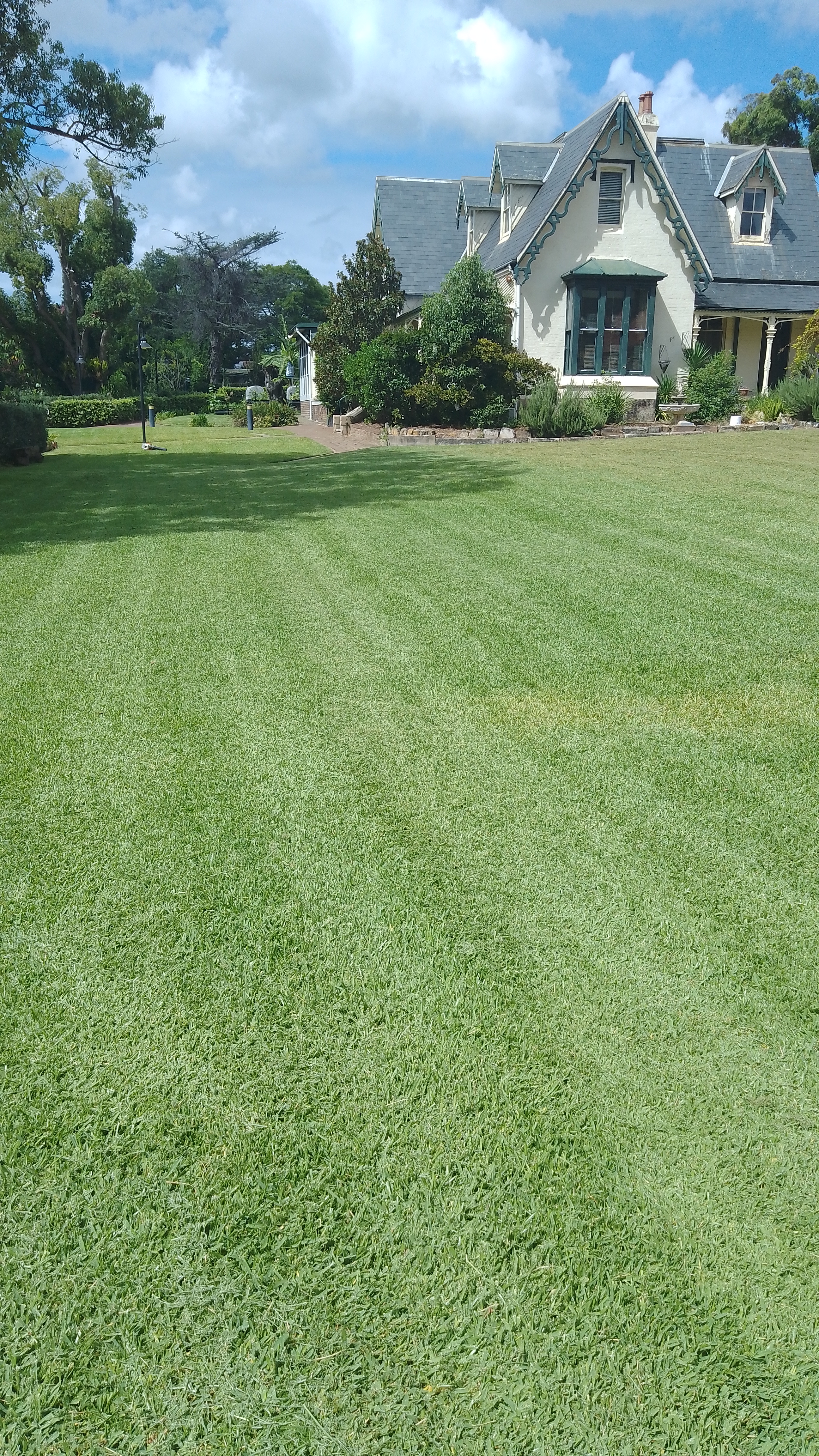 Neatly maintained lawn showing the result of regular mowing