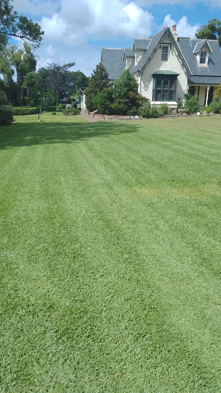 Neatly maintained lawn showing the result of regular mowing