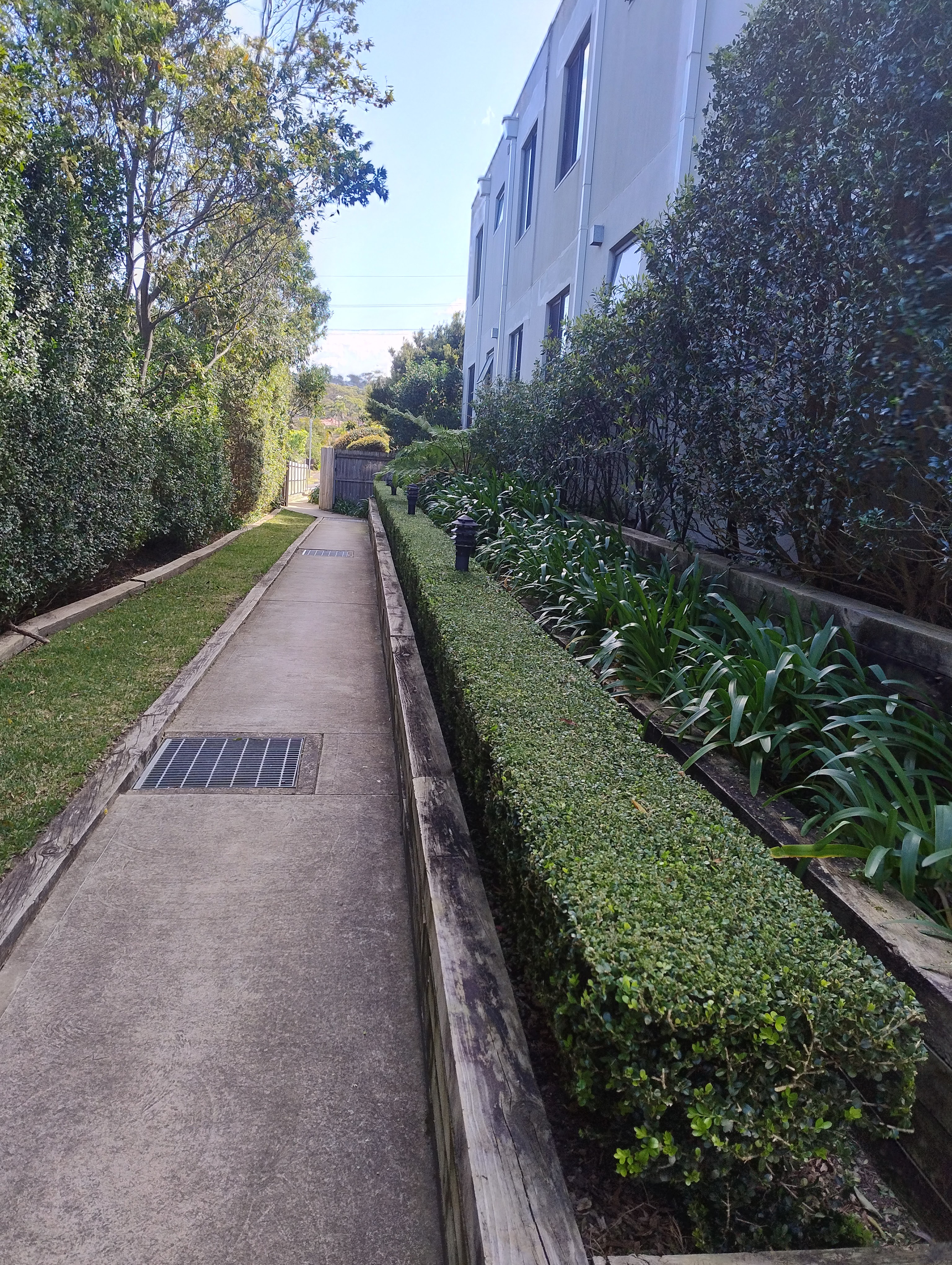 Well-maintained hedges and garden beds along a modern Sydney apartment building