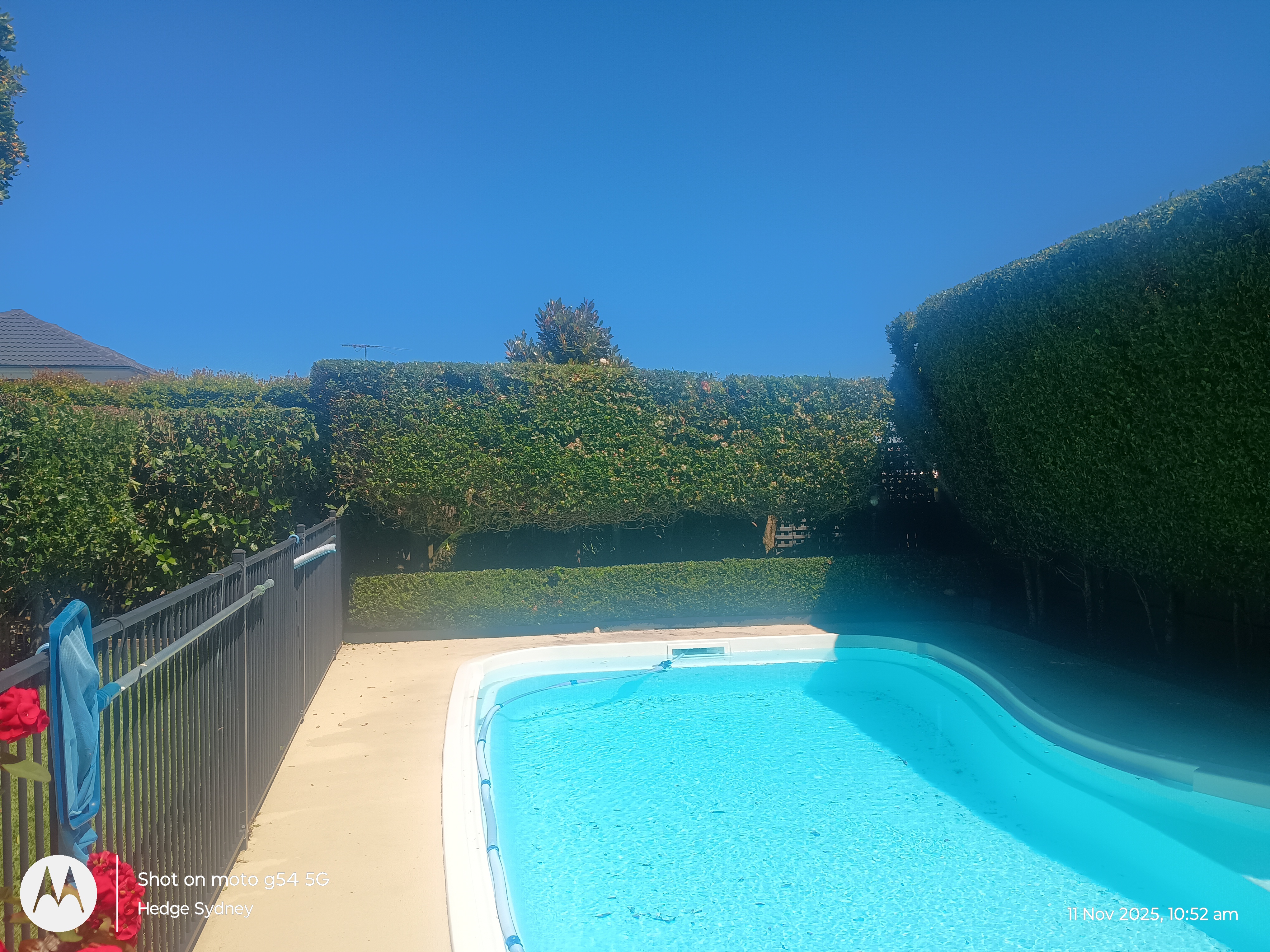 Hedge trimming and garden care in Collaroy Plateau by Hedge Sydney