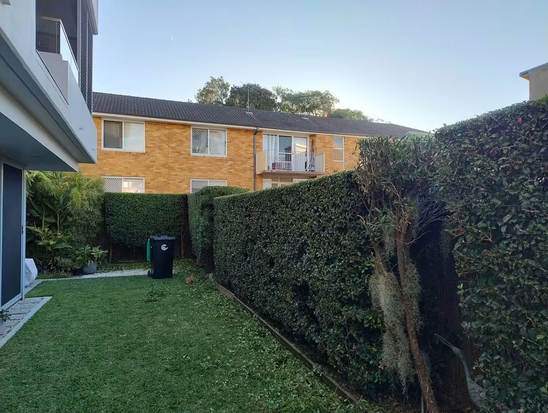 Apartment boundary hedge in Howard Ave, Dee Why — hedge trimming and garden care by Hedge Sydney — strata hedge trimming detail, photo 4 of 6