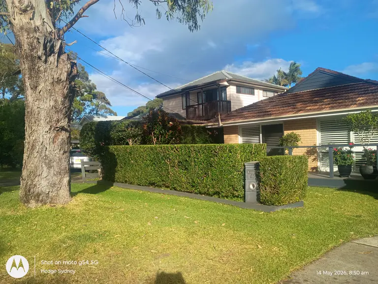 Crisp Murraya Hedging — hedge trimming by Hedge Sydney
