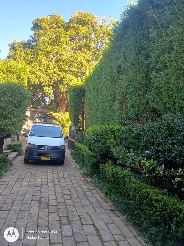Big Leightons — hedge trimming by Hedge Sydney