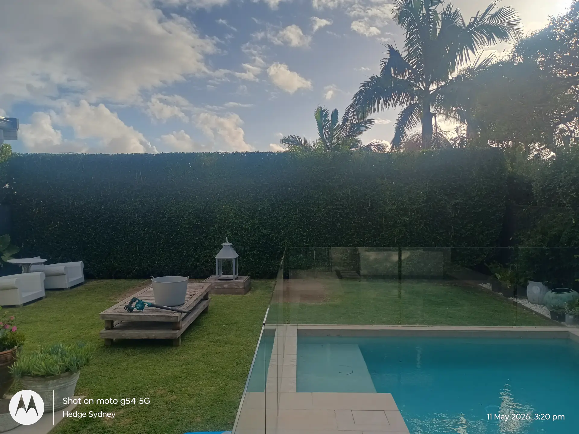 Poolside Hedging in Collaroy Plateau, Sydney — professional hedge trimming and garden care by Hedge Sydney